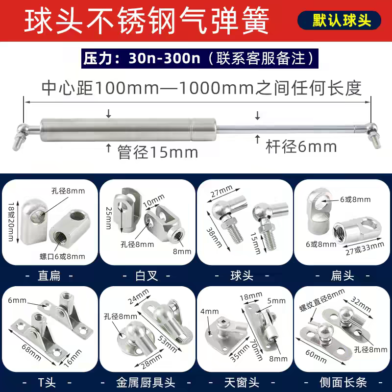 15mm 6mm  304 gas spring and end fitting 